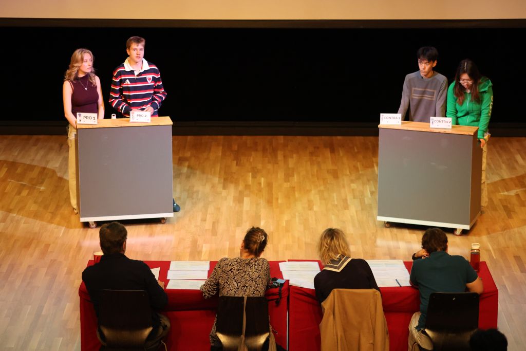 Bild